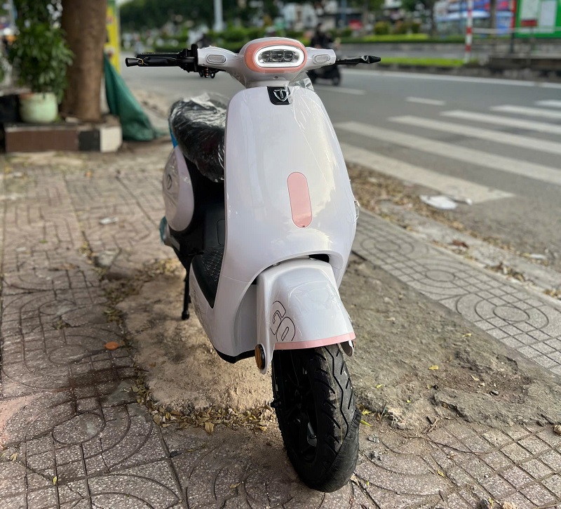 Xe Đạp Điện Tailg GR56 Đầy Đủ Giấy Tờ