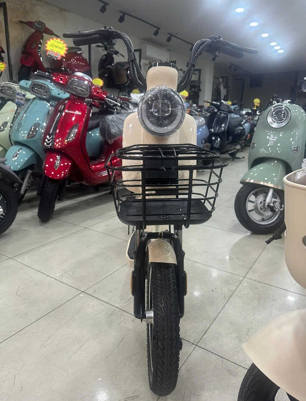 Xe Đạp Điện Tailg JY34 - Dùng 4 Bình 13Ah 60km/1 Lần Sạc Xe Đạp Điện Tailg JY34 - Dùng 4 Bình 13Ah 60km/1 Lần Sạc