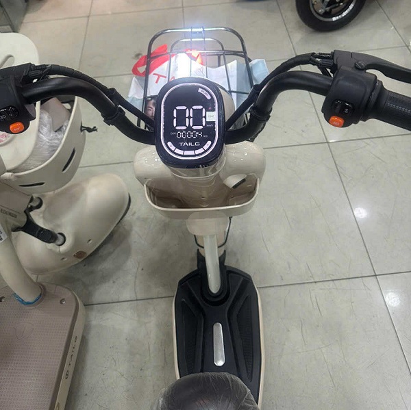 Xe Đạp Điện Tailg JY34 - Dùng 4 Bình 13Ah 60km/1 Lần Sạc Xe Đạp Điện Tailg JY34 - Dùng 4 Bình 13Ah 60km/1 Lần Sạc