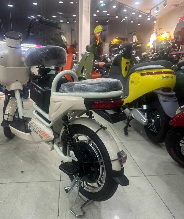 Xe Đạp Điện Tailg JY34 - Dùng 4 Bình 13Ah 60km/1 Lần Sạc Xe Đạp Điện Tailg JY34 - Dùng 4 Bình 13Ah 60km/1 Lần Sạc