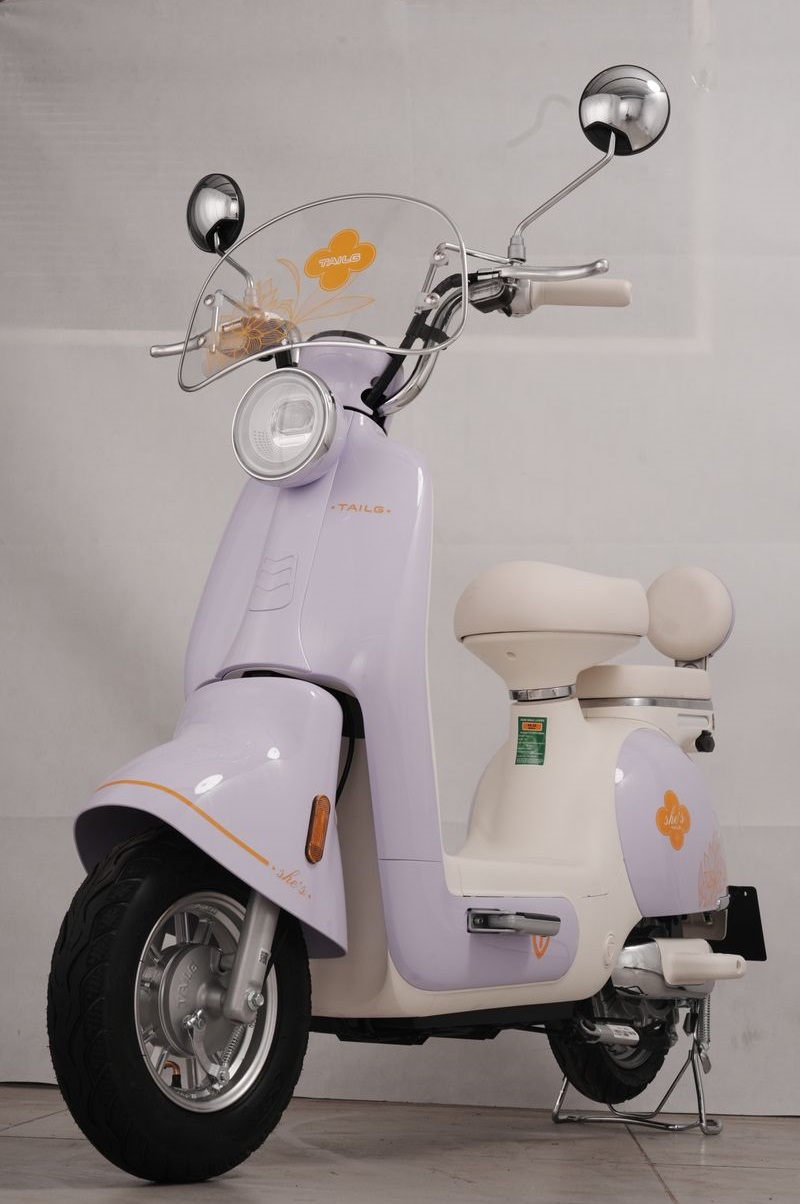 Xe Đạp Điện Tailg Princess JS50 Xe Đạp Điện Tailg Princess JS50