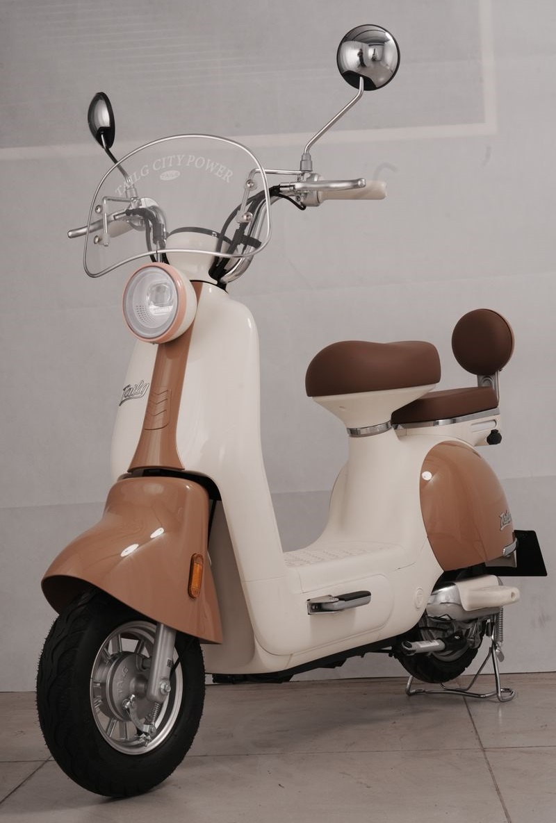 Xe Đạp Điện Tailg Princess JS50 Xe Đạp Điện Tailg Princess JS50