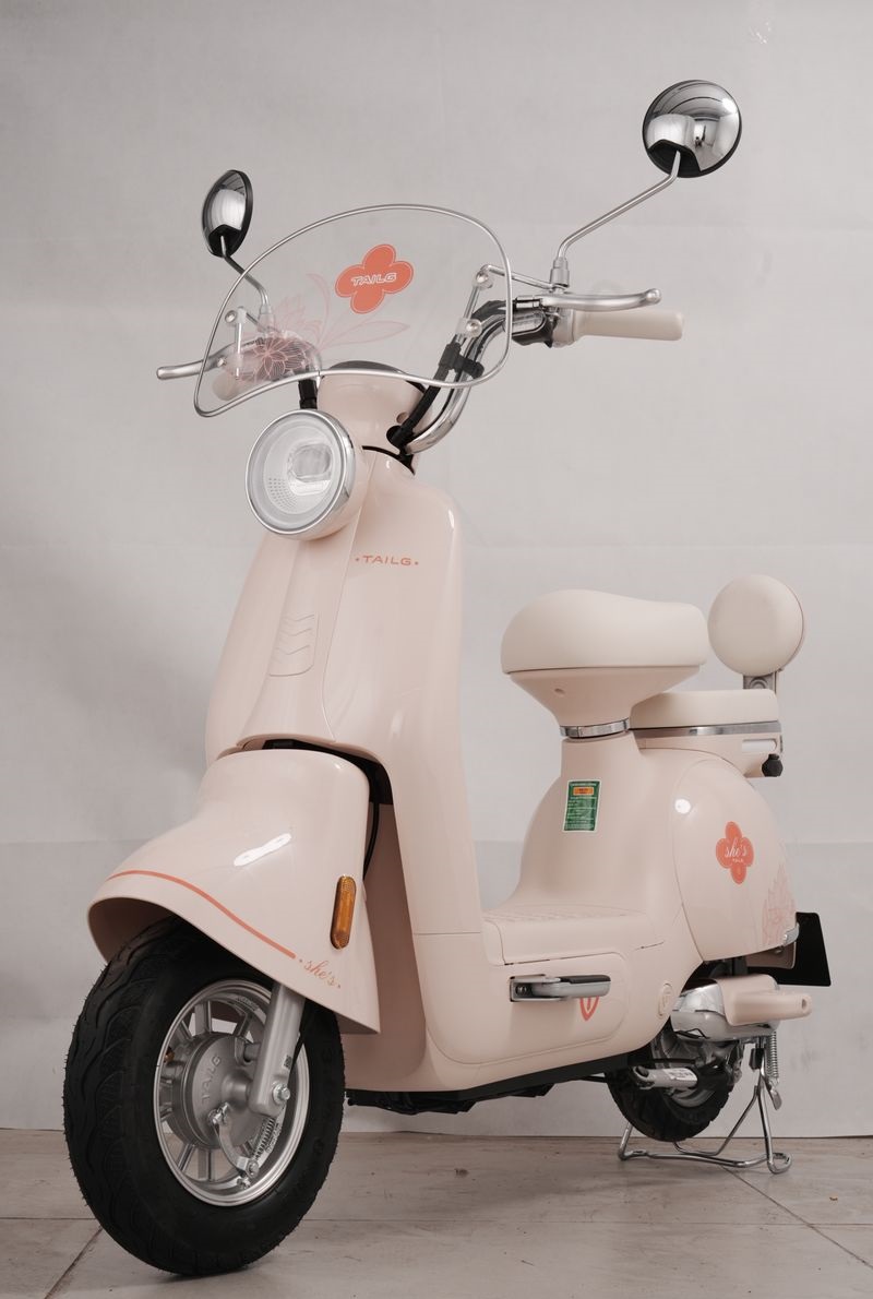 Xe Đạp Điện Tailg Princess JS50 Xe Đạp Điện Tailg Princess JS50