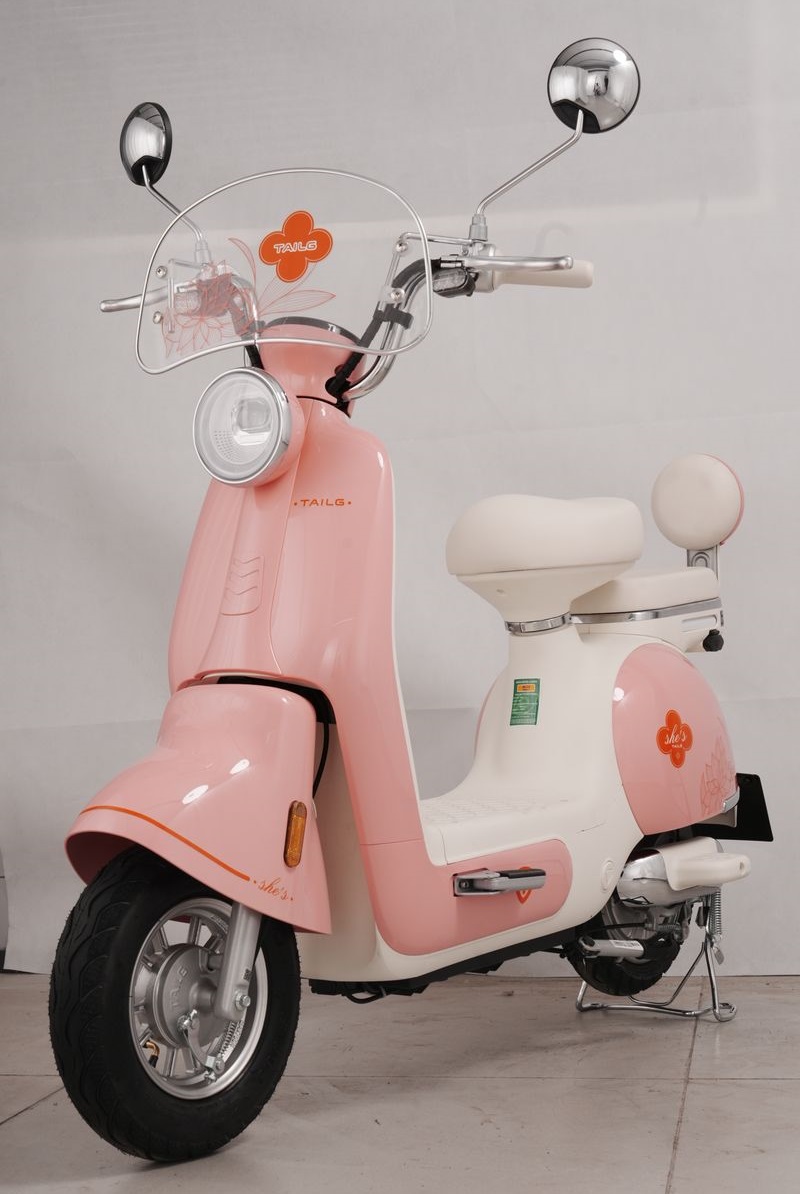 Xe Đạp Điện Tailg Princess JS50 Xe Đạp Điện Tailg Princess JS50