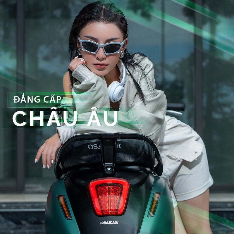 Xe M&aacute;y Điện Osakar Rova Việt Nhật