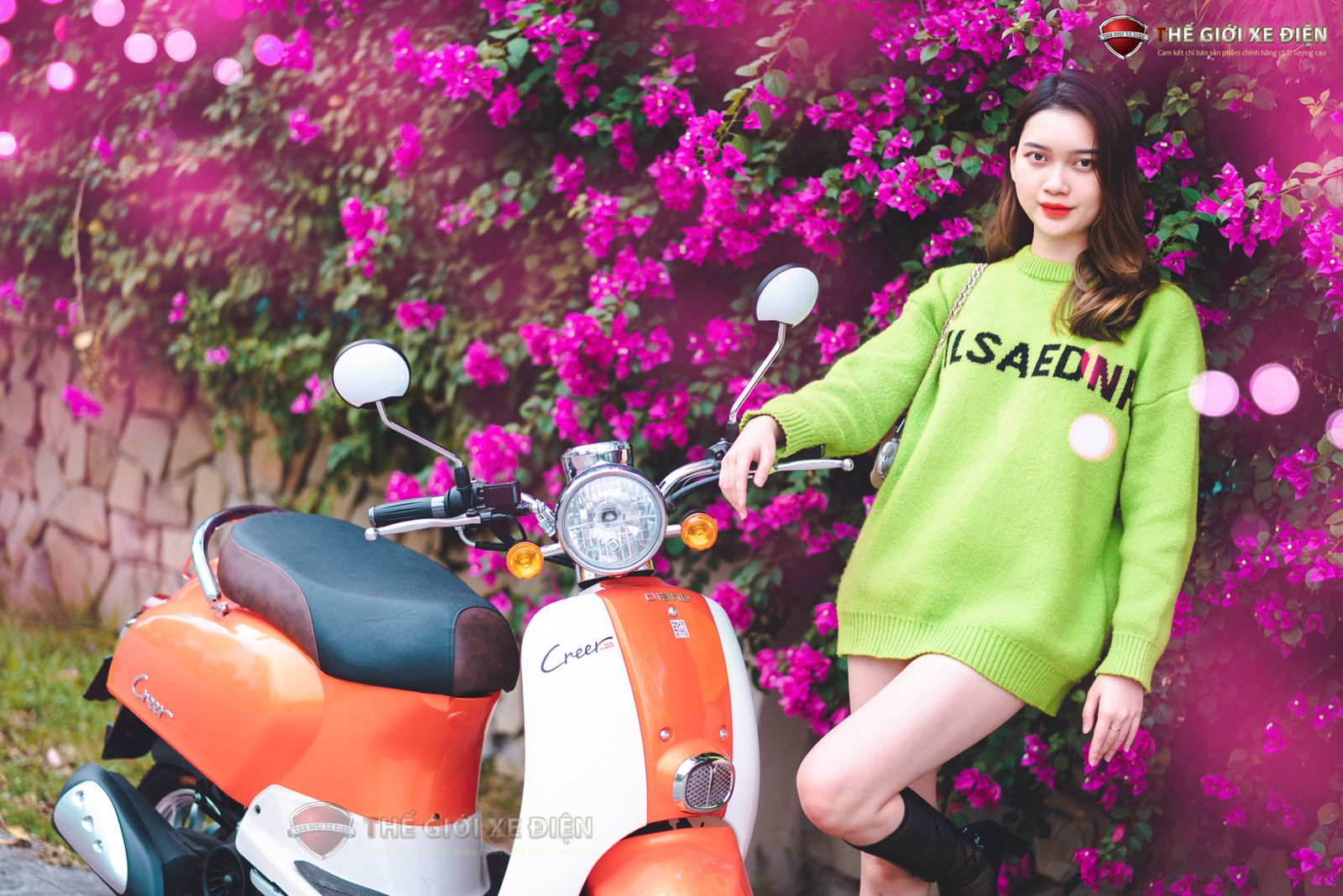 Cập nhật bảng giá xe Crea 50cc hiện hành – Chọn phiên bản phù hợp túi tiền