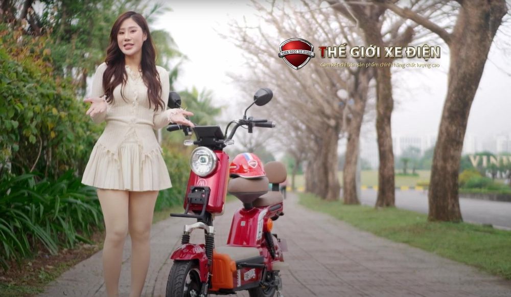 Cách bảo dưỡng và sửa chữa những lỗi thường gặp ở xe đạp điện