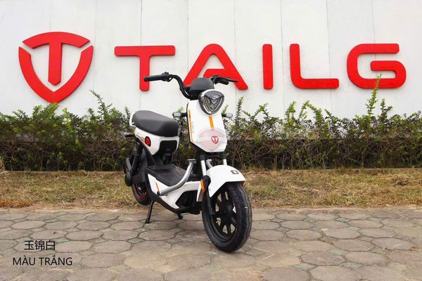Những mẫu xe điện Tailg phù hợp cho học sinh, sinh viên và người lớn tuổi