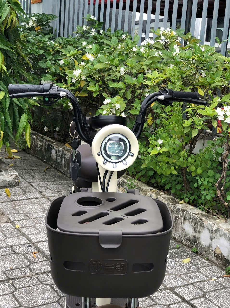 Xe Đạp Điện Tailg JY33 Mini Bike