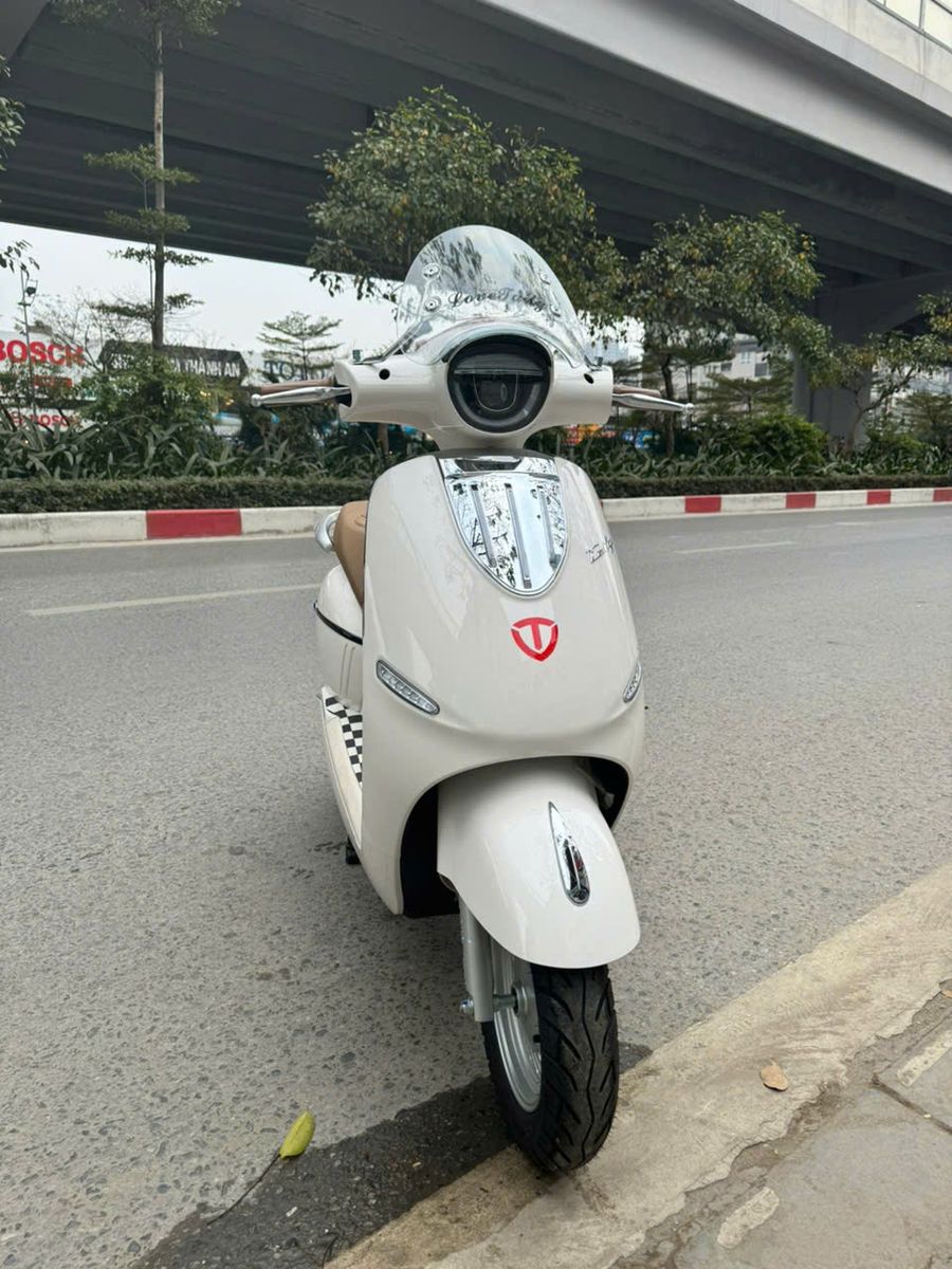 Xe m&aacute;y điện Tailg Queen R71 - 6 B&igrave;nh 23Ah 100Km/1 Lần Sạc