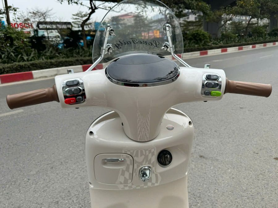 Xe m&aacute;y điện Tailg Queen R71 - 6 B&igrave;nh 23Ah 100Km/1 Lần Sạc