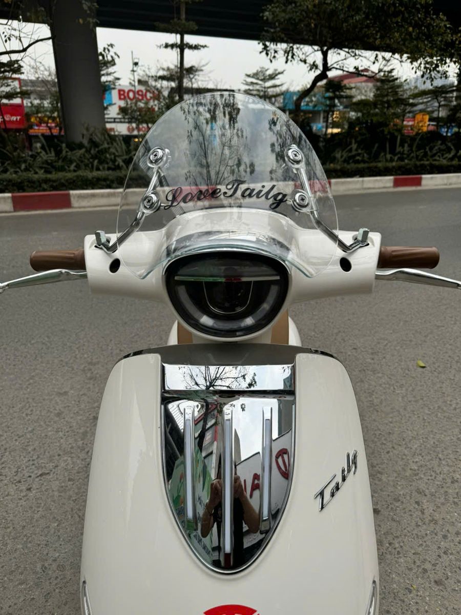 Xe m&aacute;y điện Tailg Queen R71 - 6 B&igrave;nh 23Ah 100Km/1 Lần Sạc