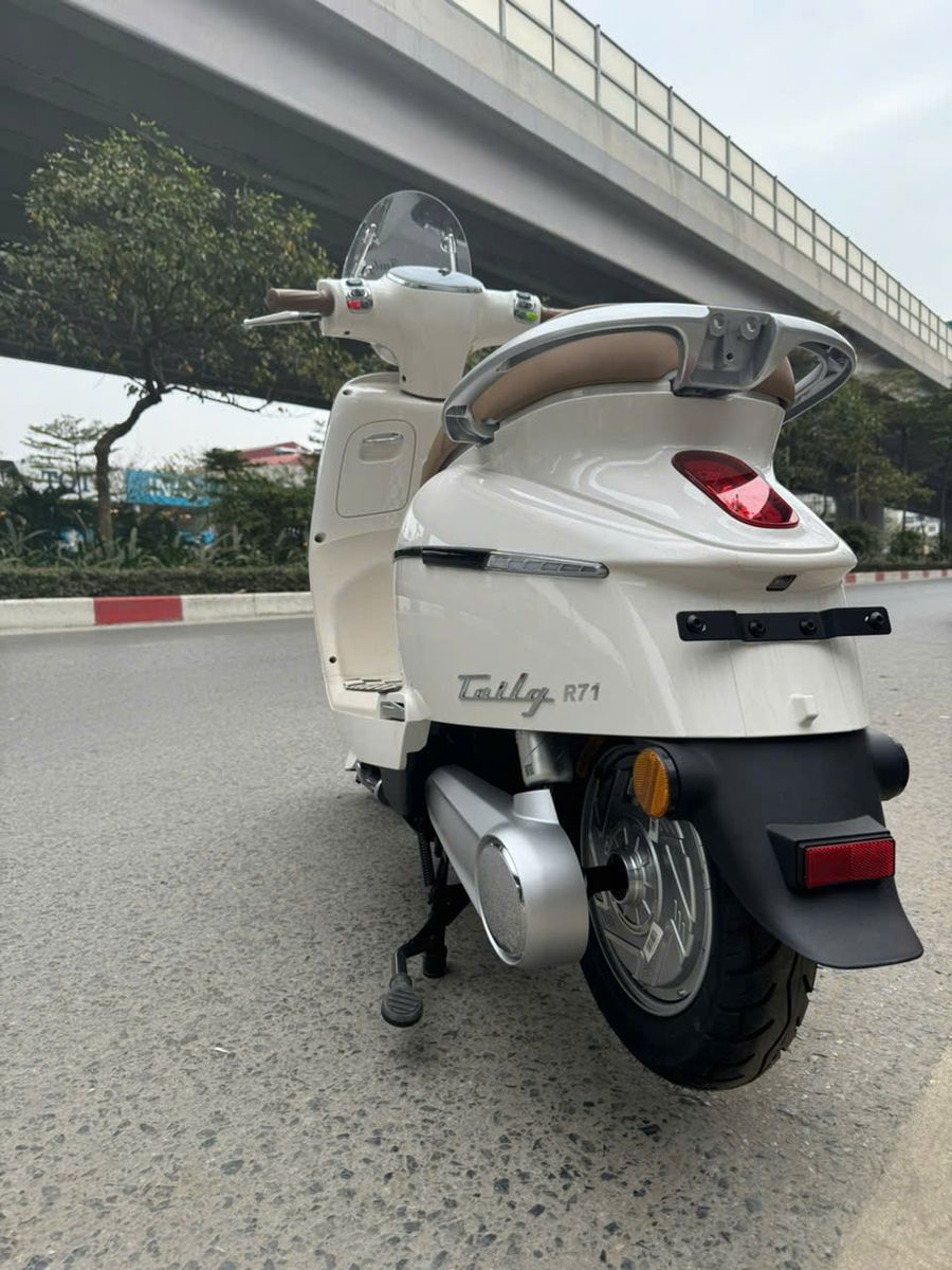 Xe m&aacute;y điện Tailg Queen R71 - 6 B&igrave;nh 23Ah 100Km/1 Lần Sạc