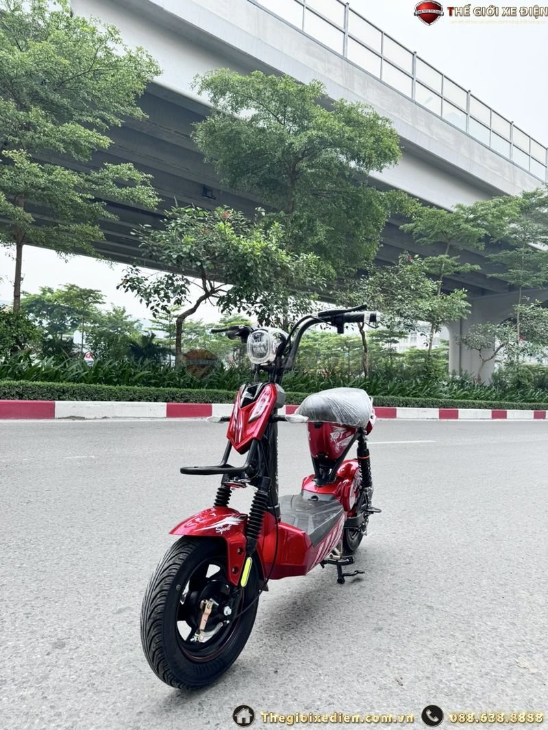 Xe Đạp Điện RANGER DT Bike 20A