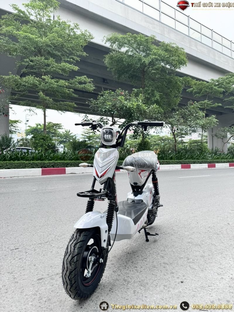 Xe Đạp Điện RANGER DT Bike 20A