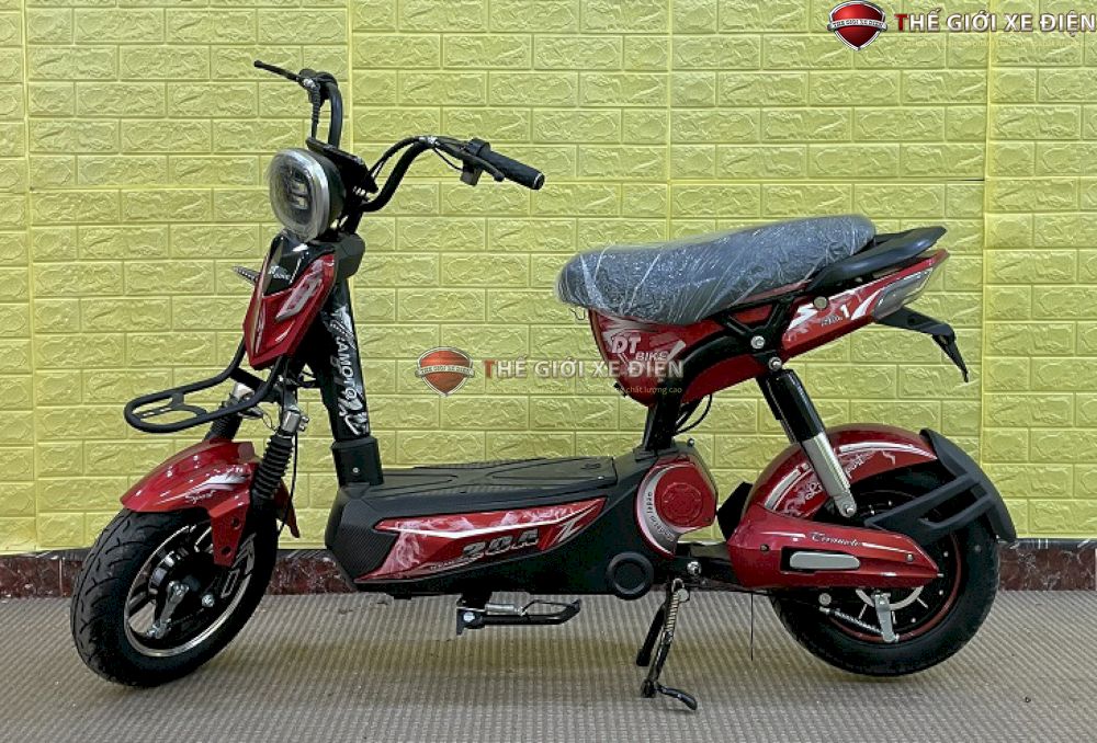 Xe Đạp Điện RANGER DT Bike 20A