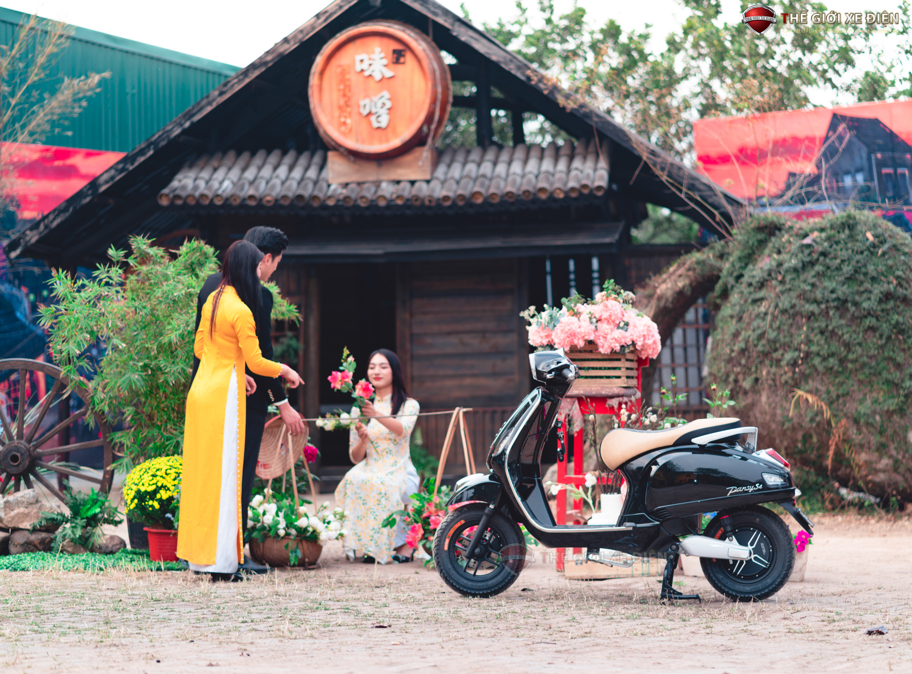 xe máy điện Dibao Pansy S4