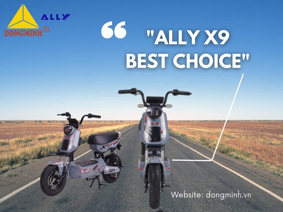 xe đạp điện ally x9