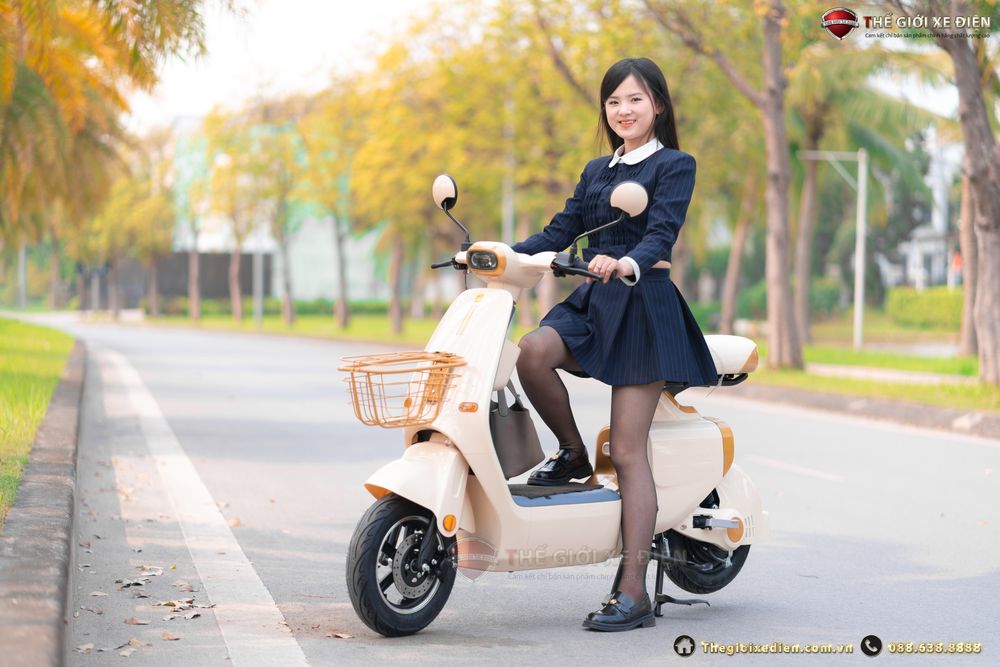 Cách bảo dưỡng và sửa chữa những lỗi thường gặp ở xe đạp điện